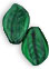 Leaves 14/9mm : Green w/Black