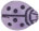 Ladybugs 14 x 11mm : Opaque Lavender