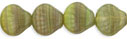 Shells 9/9mm : HurriCane Glass - Chlorella