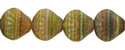 Shells 9 x 9mm : HurriCane Glass - Cardita
