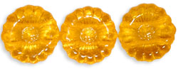 Two Hole Sunflowers 12mm : Mango