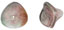 Three Petal Flower 10/12mm : Luster - Pink/Crystal
