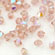 M.C. Beads 3/3mm - Bicone : French Rose AB