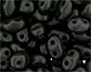 MiniDuo 4 x 2mm : Satin Metallic Black