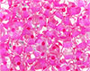 MiniDuo 4 x 2mm : Crystal - Hot Pink-Lined