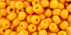 Round 6/0 : Opaque Curry