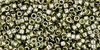 Treasure #1 : Gold-Lustered Green Tea
