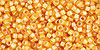 Treasure #1 : Inside-Color Jonquil/Burnt Orange Lined