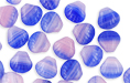 Loose Shells 9mm : HurriCane Glass - Hydrangea Blossoms
