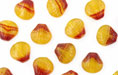 Loose Shells 9/9mm : HurriCane Glass - Hibiscus Sunfire