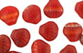 Loose Shells 9mm : HurriCane Glass - Fall Bouquet