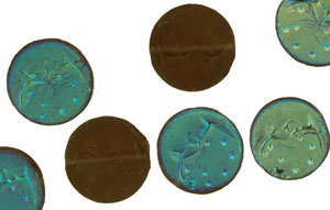 Loose Moon Face Coins 16mm : Matte - Topaz AB