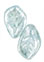 Leaves 14 x 9mm : Luster - Crystal