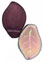 Leaves 14 x 9mm : Matte - Med Amethyst - Vitral