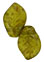 Leaves 14 x 9mm : Matte - Olivine - Picasso