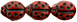 Ladybugs 9 x 7mm : Opaque Red