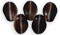 Petals 8 x 6mm : Smoky Brown/White