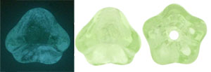 Bell Flowers 8 x 6mm : Glow in the Dark - Peridot