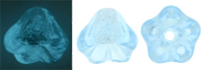 Bell Flowers 8 x 6mm : Glow in the Dark - Aquamarine