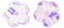Flat Flowers 8/3mm : Alexandrite AB