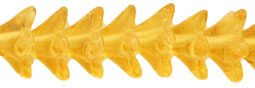 Trumpet Flower 6/9mm : Lt Topaz