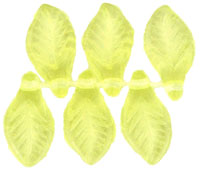 Leaves 13 x 6mm : Jonquil