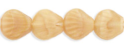 Shells 9 x 9mm : Caramel Coral