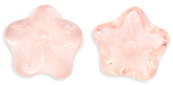 Star Flower Cup 10mm : Rosaline