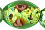 Silver Foil Flowers 14 x 9mm - Teardrop : Gold Lustered - Opaque Turquoise