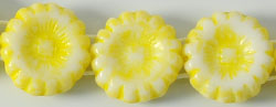 Two Hole Sunflowers 12mm : Opaque White - Yellow Picasso