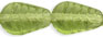 Vintage Style Leaves 12 x 8mm : Olivine