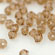 M.C. Beads 3/3mm - Bicone : Smoky Topaz