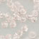 M.C. Beads 3/3mm - Bicone : Rosaline