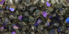 M.C. Beads 4/4mm - Bicone : Purple Iris - Black Diamond