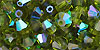 M.C. Beads 5/5mm - Bicone : Olivine AB