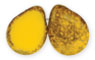 Polished Drops 16 x 12mm : Sunflower Yellow - Moon Dust