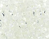 MiniDuo 4 x 2mm : Crystal - White-Lined
