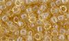 Matubo Seed Bead 7/0 : Luster - Transparent Champagne