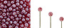 Finial Half-Drilled Round Bead 2mm : Metal Luster - Ruby
