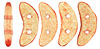 CzechMates Crescent 10 x 3mm : ColorTrends: Transparent Peach Echo