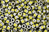 Matubo 3-Cut Seed Bead 6/0 Tube 2.5" : Silver Luster - Opaque Yellow