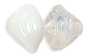 Shell 8 x 7mm : Milky White