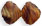 Shell 8/7mm : Pearl/Brown