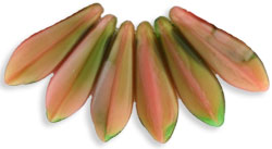 Dagger 16 x 5mm : Pink Coral/Olivine