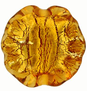 Ruffled Silver Foil Leaves 20/20mm : Med Topaz
