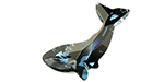 PRESTIGE 4008 18mm Whale Fancy Stone Montana Blue