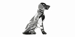 PRESTIGE 4033 19mm Weimaraner with Outline Fancy Stone Black Diamond