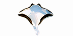 PRESTIGE 4043 20mm Stingray Fancy Stone White Opal