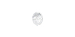 PRESTIGE 5040 12mm CRYSTAL Rondelle Bead