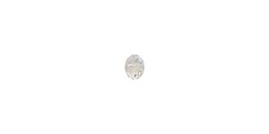 PRESTIGE 5040 6mm CRYSTAL SILVER SHADE Rondelle Bead